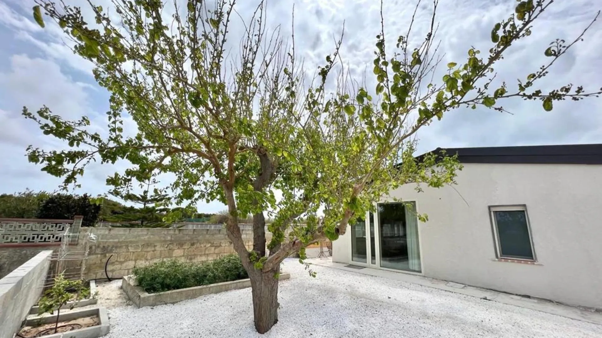 Villa Garbugli 파키노
